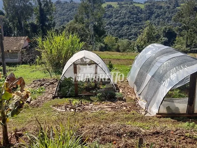 Sítio com 440000m² 7 quartos e 2 banheiros, à venda, no bairro Interior em Concórdia
