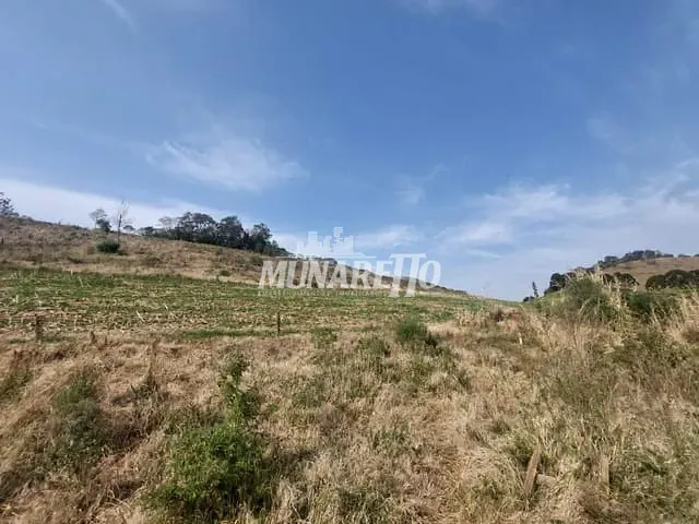 Sítio com 59309m² 3 quartos e 1 banheiro, à venda, no bairro Linha Cachimbo em Concórdia