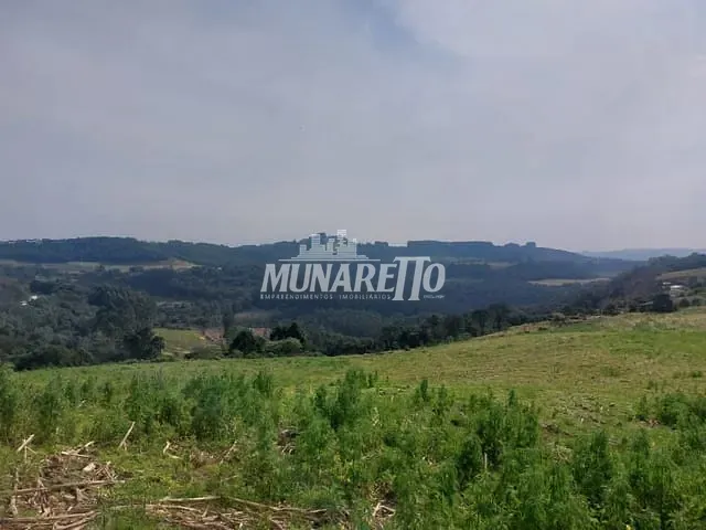 Sítio com 59309m² 3 quartos e 1 banheiro, à venda, no bairro Linha Cachimbo em Concórdia