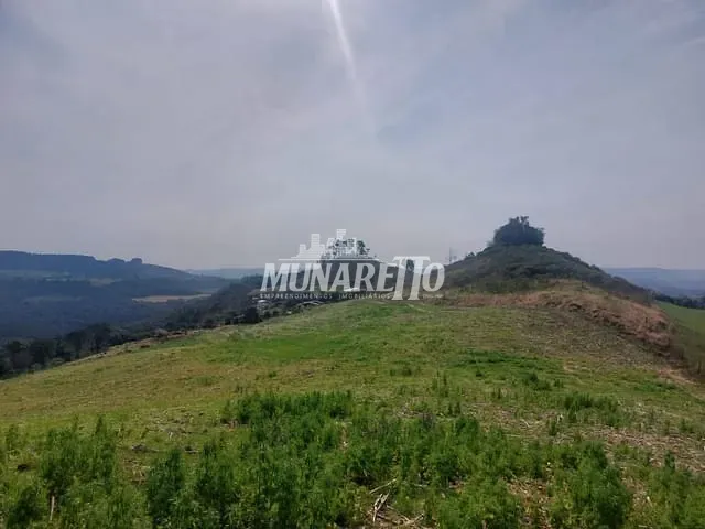 Sítio com 59309m² 3 quartos e 1 banheiro, à venda, no bairro Linha Cachimbo em Concórdia