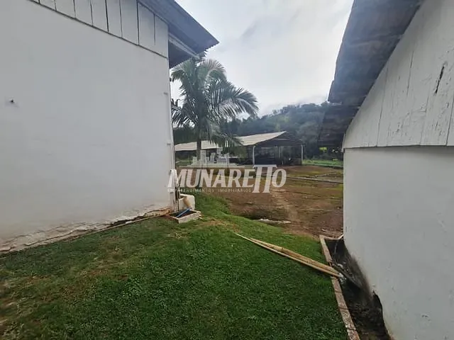 Sítio com 172000m² 3 quartos e 2 banheiros, à venda, no bairro Distrito de Planalto em Concórdia
