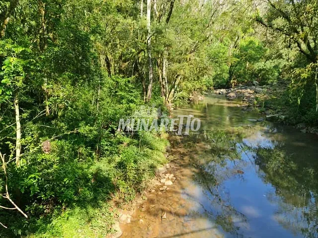 Sítio com 80000m², à venda, no bairro Linnha Saracura em Concórdia