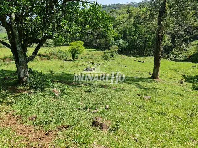 Sítio com 30000m², à venda, no bairro Fragosos em Concórdia