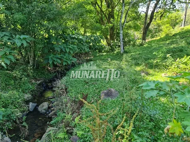 Sítio com 30000m², à venda, no bairro Fragosos em Concórdia