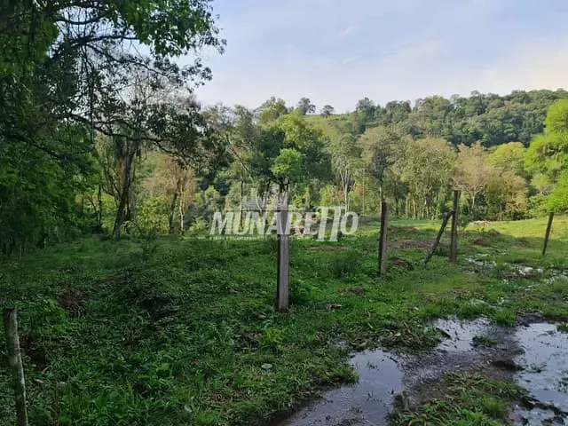 Sítio com 30000m², à venda, no bairro Fragosos em Concórdia