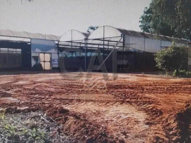 Sítio com 70000m² 2 quartos e 1 banheiro, à venda, no bairro Área Rural de Holambra em Holambra