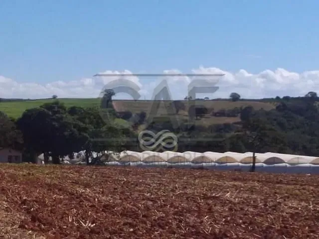 Sítio com 70000m² 2 quartos e 1 banheiro, à venda, no bairro Área Rural de Holambra em Holambra