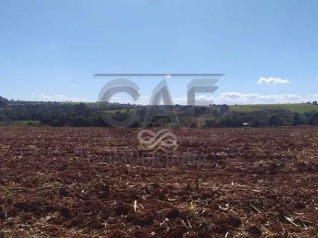 Sítio com 70000m² 2 quartos e 1 banheiro, à venda, no bairro Área Rural de Holambra em Holambra