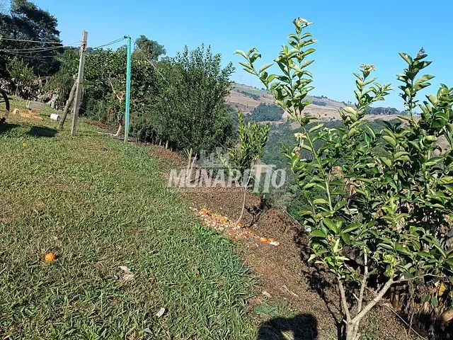 Sítio com 15000m² 1 quarto e 1 banheiro, à venda, no bairro LINHA PLANALTO em Piratuba