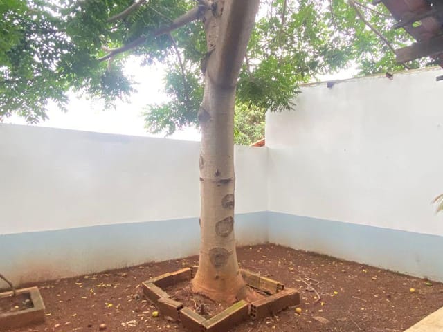 Sobrado para locação, Parque Santa Cecília, Aparecida de Goiânia, GO