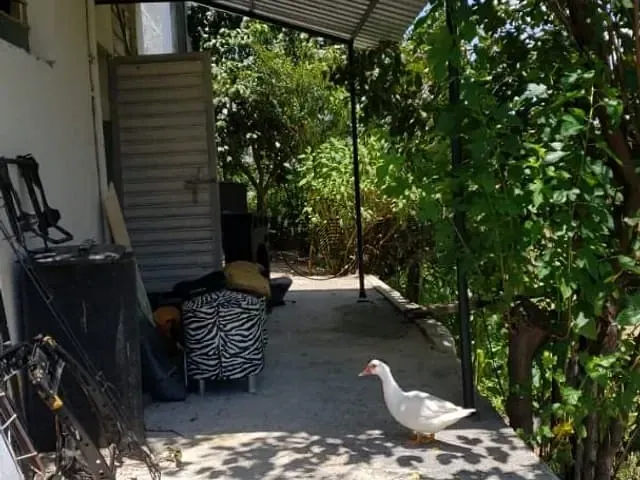 Sobrado com 121m² 6 quartos e 3 banheiros, à venda, no bairro São Roque em Aparecida