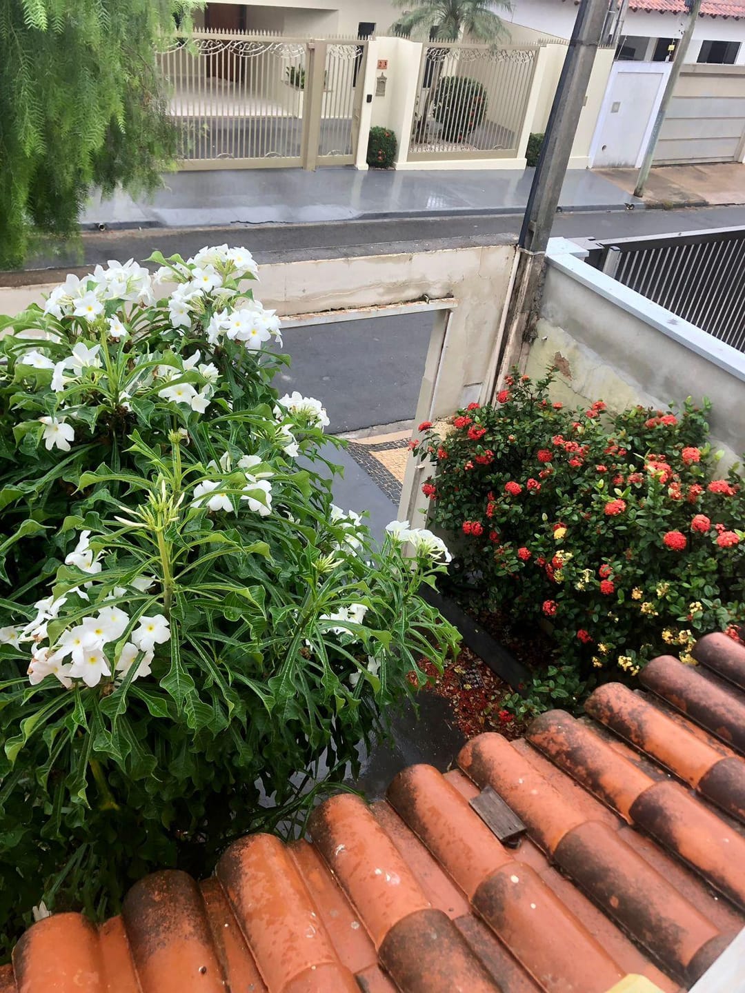 Sobrado para alugar com 3 quartos, 96m² - Foto 26