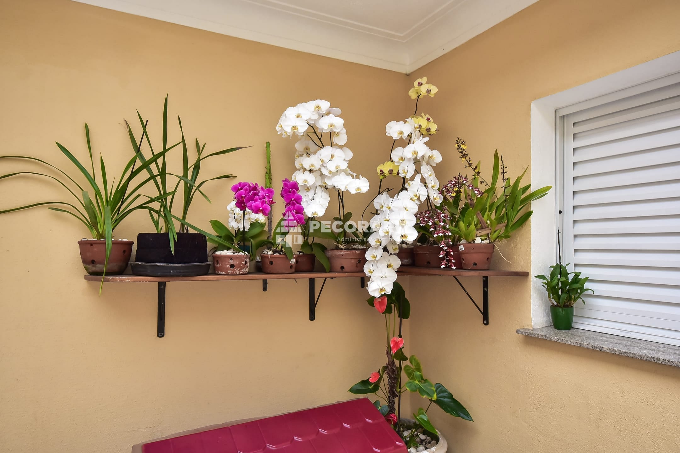 Sobrado, 1 quarto, 360 m² - Foto 85