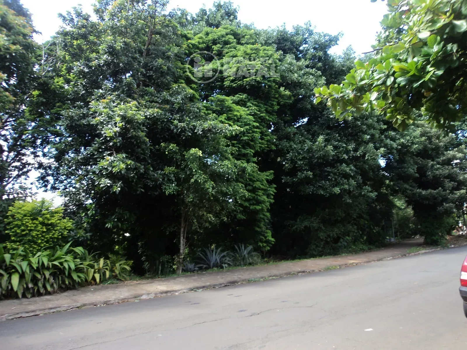 Sobrado, 5 quartos, 288 m² - Foto 6