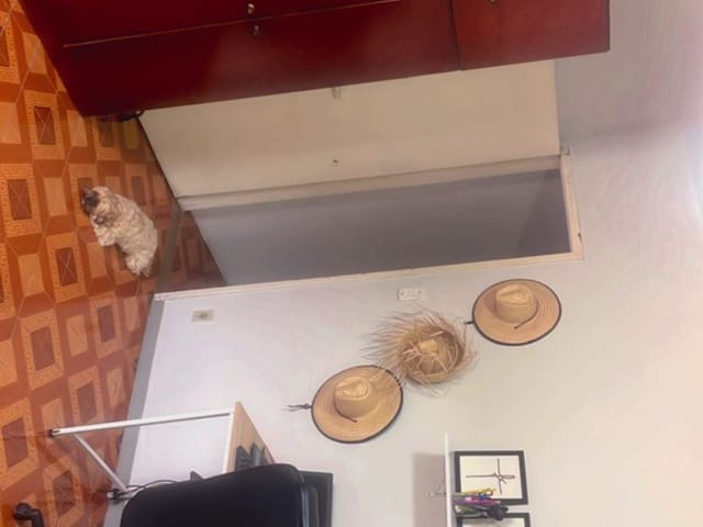Sobrado 3 quartos e 2 banheiros, à venda, no bairro Jardim Miriam em São Paulo