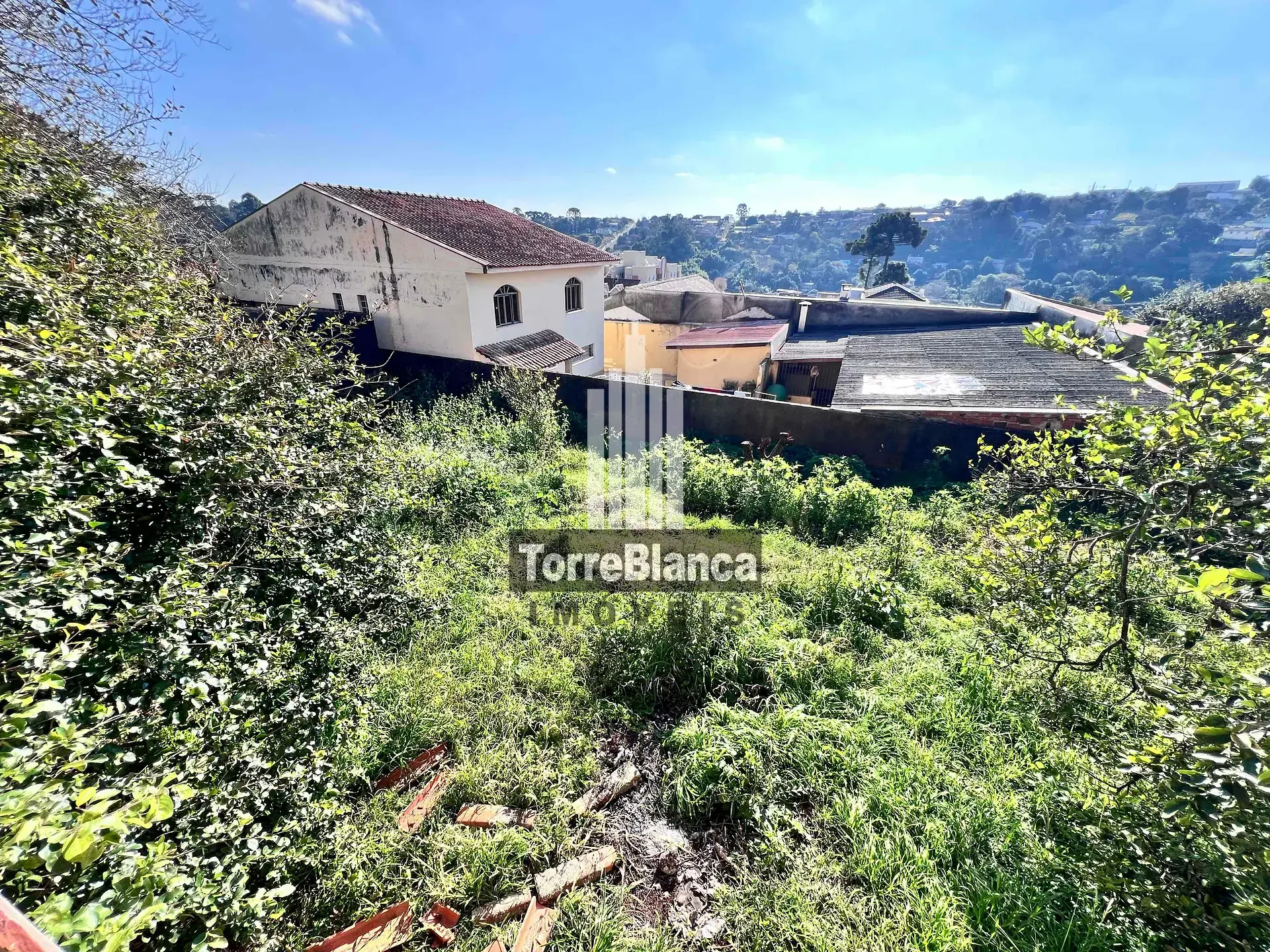 Casa, 4 quartos, 274 m² - Foto 31