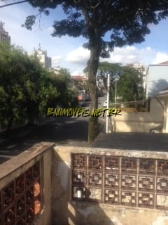 Sobrado, 3 quartos, 250 m² - Foto 22