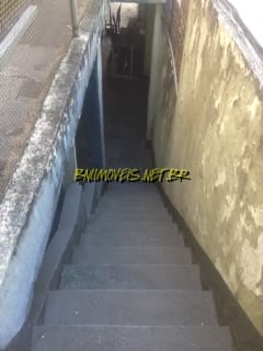 Sobrado, 3 quartos, 250 m² - Foto 19