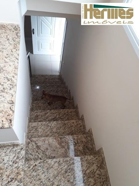 Sobrado, 4 quartos, 453 m² - Foto 13