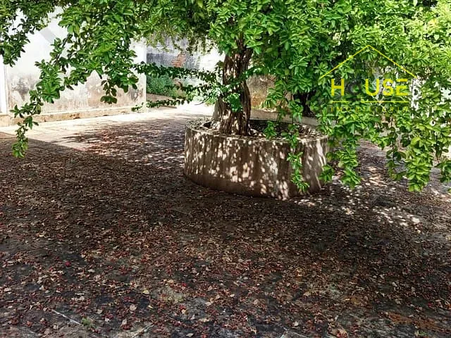 Sobrado com 484m² 4 quartos e 3 banheiros, à venda, no bairro Centro em Fernandópolis