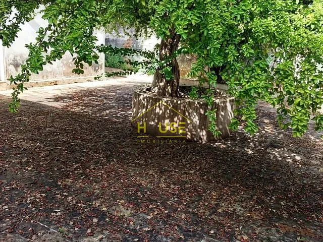 Sobrado com 484m² 4 quartos e 3 banheiros, à venda, no bairro Centro em Fernandópolis