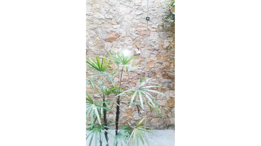 Sobrado à venda 4 Quartos, 4 Suites, 9 Vagas, 800M², Campestre, Santo André - SP