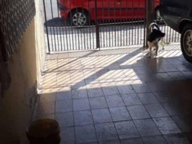 Sobrado 3 quartos e 3 banheiros, à venda, no bairro Assunção em São Bernardo do Campo