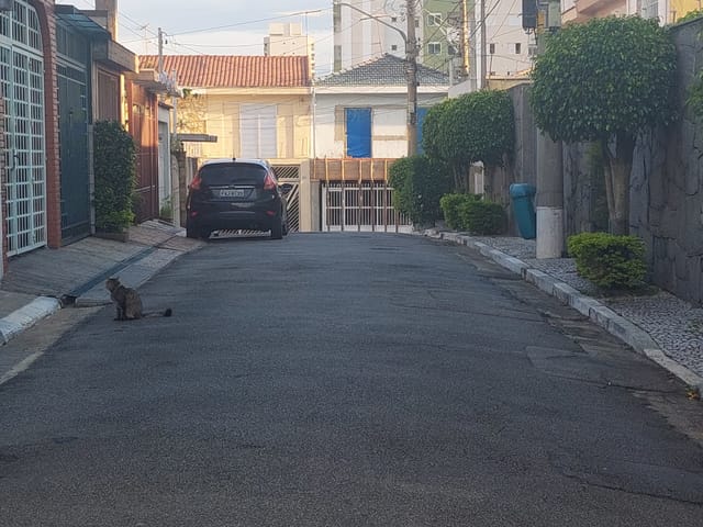 Foto do Sobrado - Sobrado à venda, ótima localização, próximo a futura estação do Metrô Orfanato, Shoppings, Parques e fácil acesso as Grandes avenidas e rodovias | Sanches Imobiliária VIP