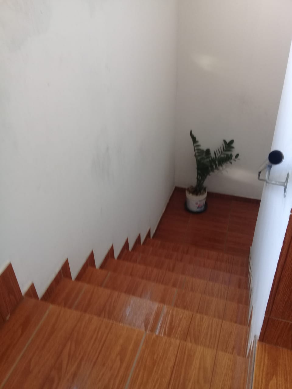Sobrado, 5 quartos, 310 m² - Foto 13
