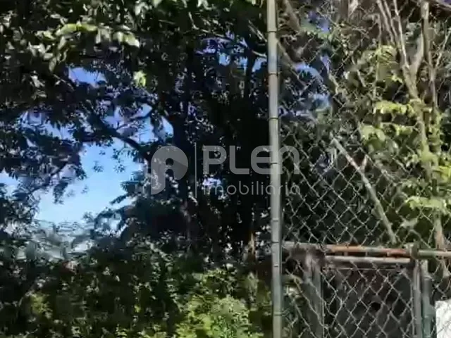 Casa com 149m² 3 quartos e 5 banheiros, à venda, no bairro Vila Albertina em São Paulo