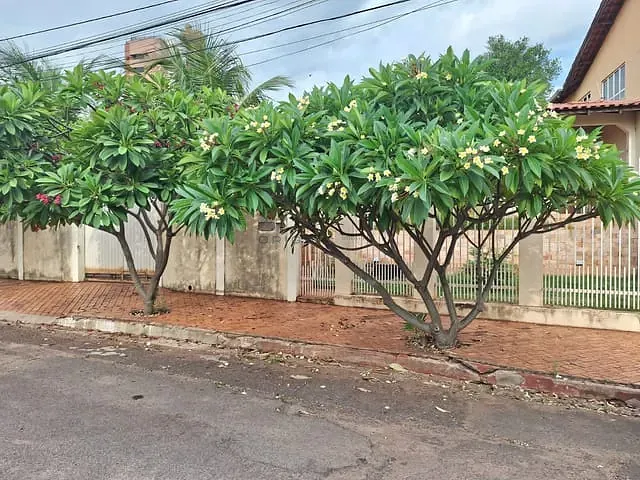 Sobrado com 400m² 3 quartos e 2 banheiros, à venda, no bairro Monte Castelo em Campo Grande