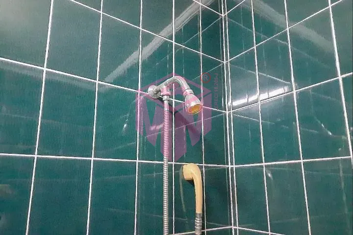 Sobrado, 4 quartos, 313 m² - Foto 28
