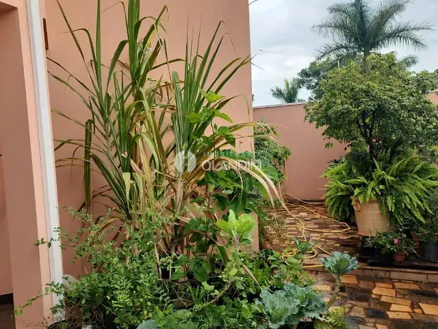 Sobrado com 338m² 3 quartos e 4 banheiros, para alugar, no bairro Jardim Conservani em Artur Nogueira