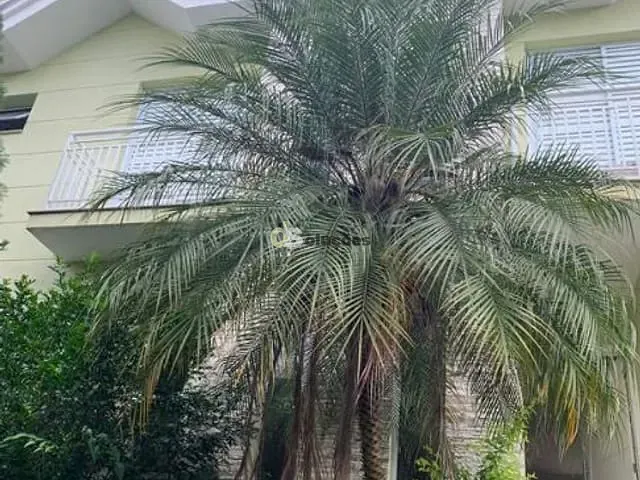 Sobrado com 320m² 4 quartos e 5 banheiros, à venda, no bairro Tremembé em São Paulo