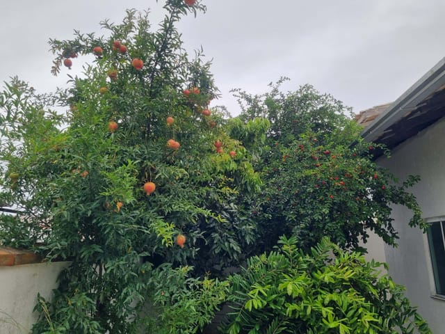 Foto do Sobrado - Sobrado à venda, Perequê, Porto Belo, SC | Interpraias Imóveis
