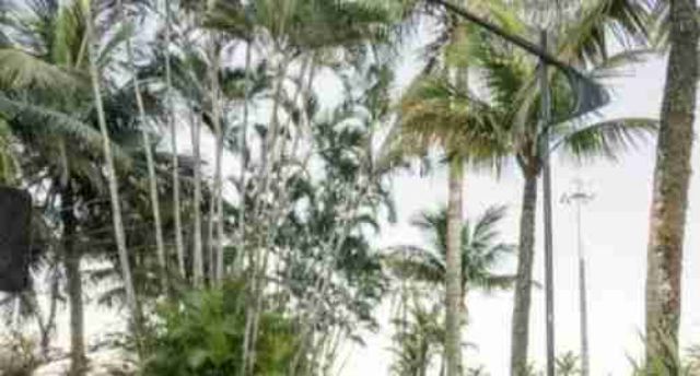 Casa 2 quartos e 1 banheiro, à venda, no bairro Rio da Praia em Bertioga