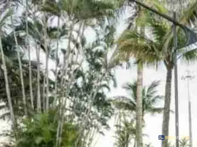 Casa 2 quartos e 1 banheiro, à venda, no bairro Rio da Praia em Bertioga