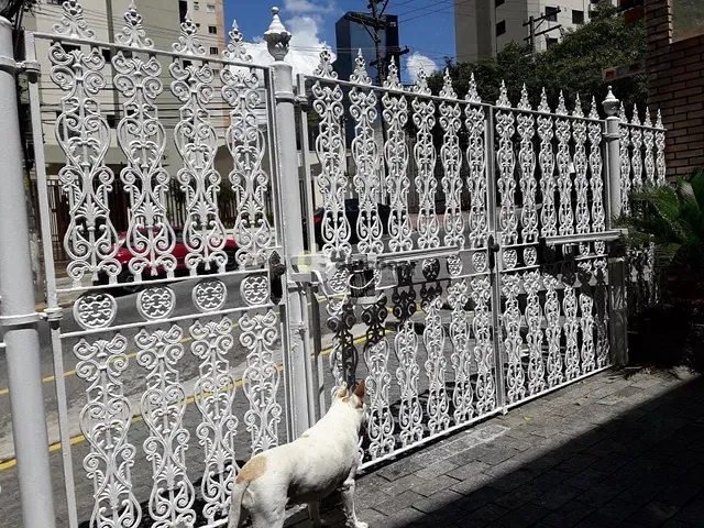 Sobrado com 290m² 3 quartos e 5 banheiros, à venda, no bairro Santana em São Paulo