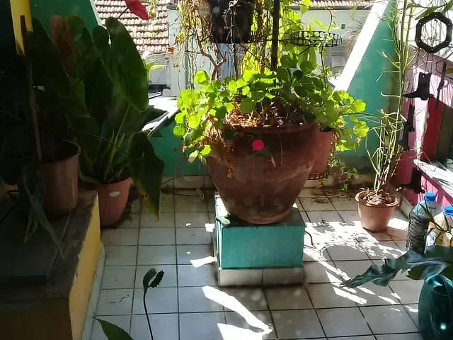 Sobrado com 375m² 4 quartos e 6 banheiros, à venda, no bairro Aclimação em São Paulo