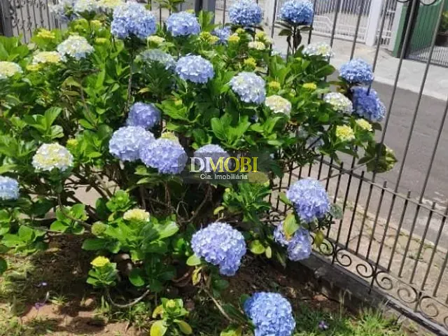 Sobrado com 300m² 3 quartos e 2 banheiros, à venda, no bairro Loteamento Jardim Timbaúva em Gravataí