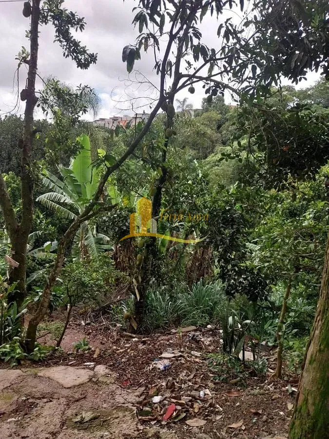 Sobrado, 6 quartos, 270 m² - Foto 5
