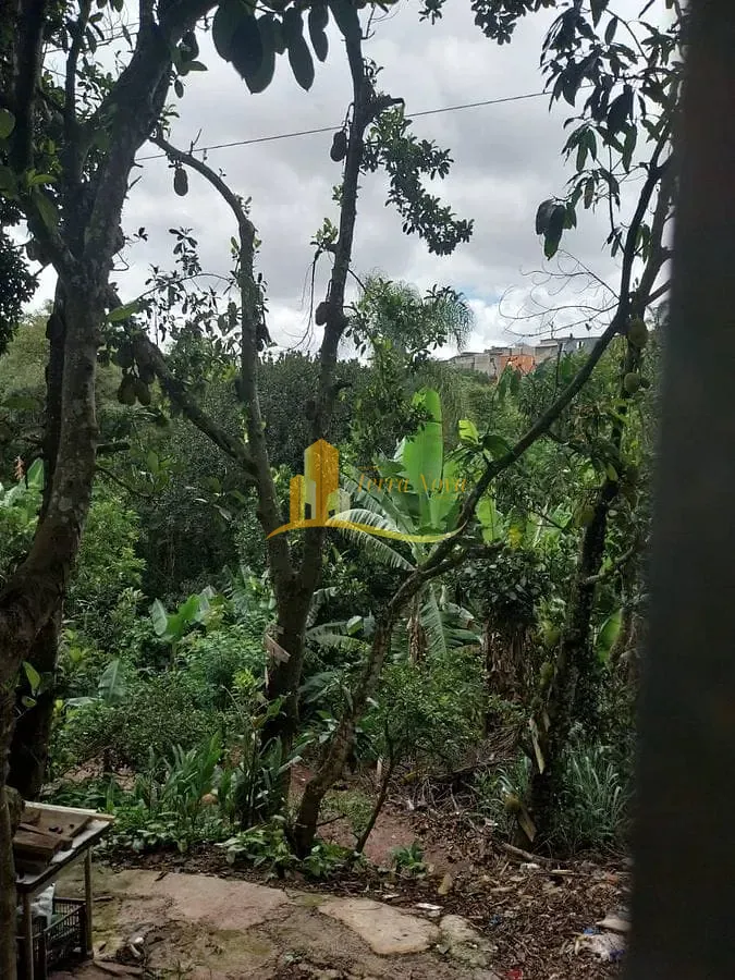 Sobrado, 6 quartos, 270 m² - Foto 6