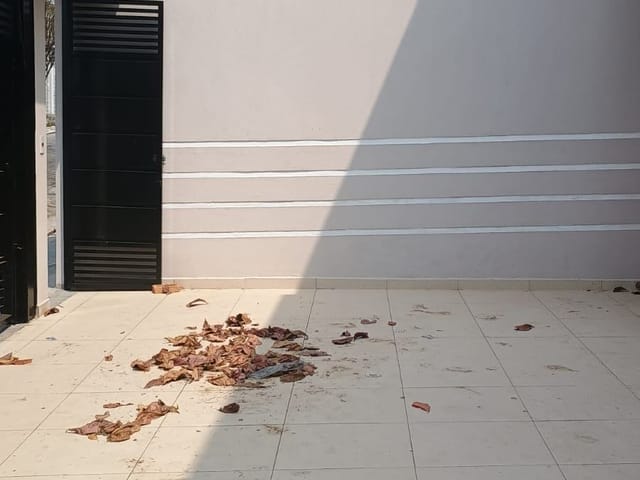 Sobrado 2 quartos e 3 banheiros, à venda, no bairro Vila Santa Terezinha (Zona Norte) em São Paulo