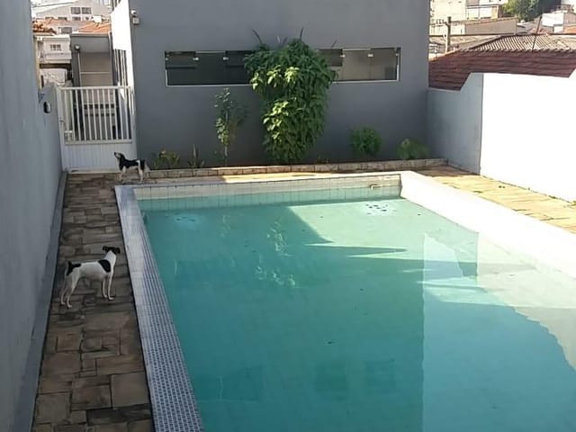 Prédio à venda ou para alugar, no bairro Água Fria em São Paulo