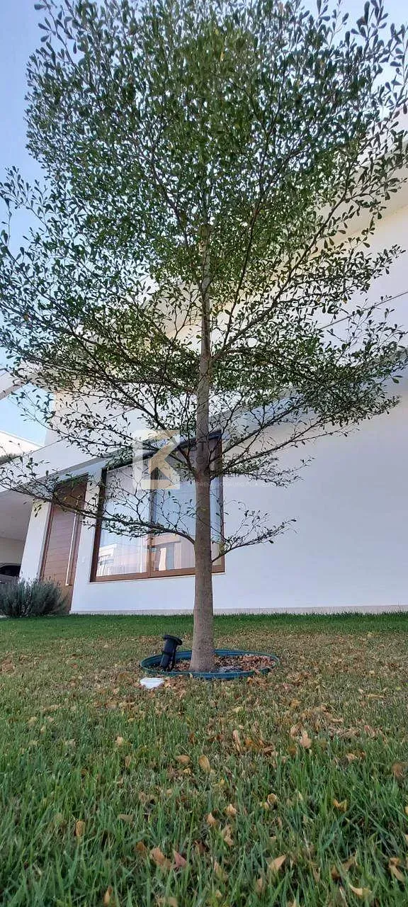Sobrado, 3 quartos, 312 m² - Foto 3