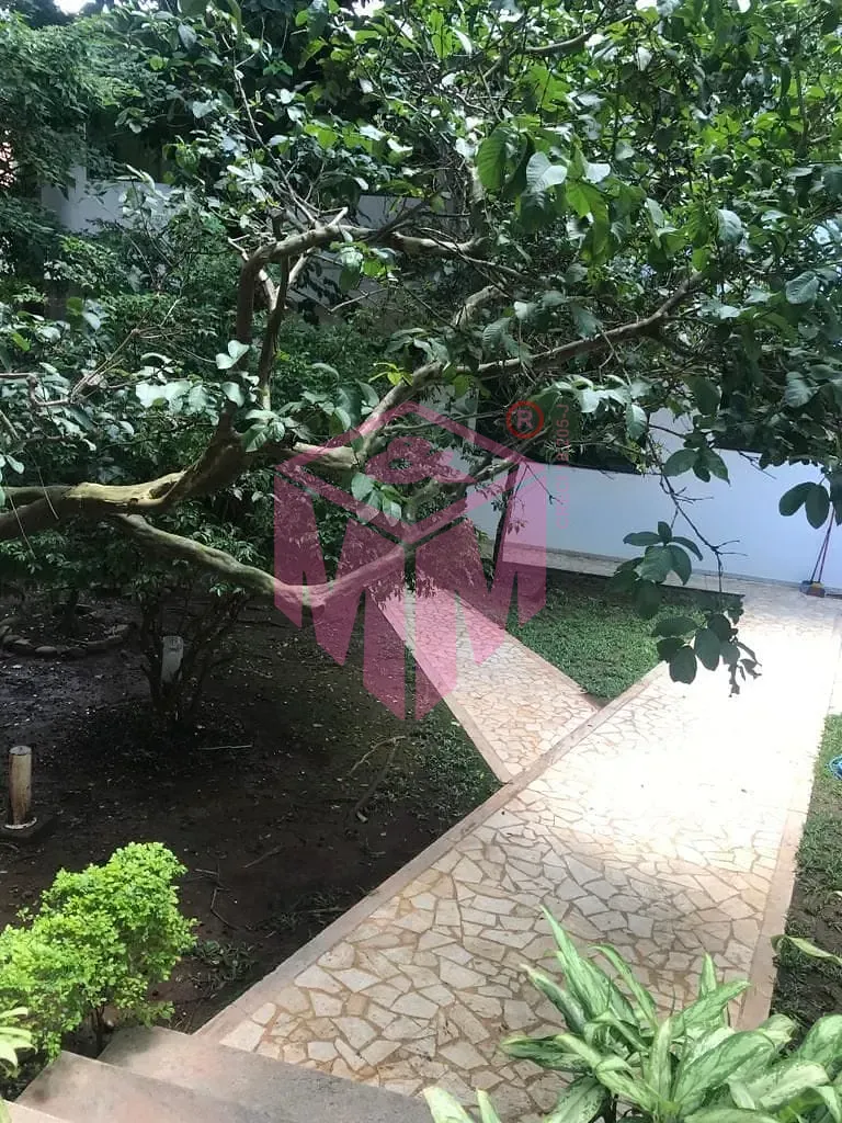 Sobrado, 1 quarto, 600 m² - Foto 18
