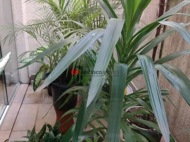 Sobrado com 145m², à venda, no bairro Santa Maria em São Caetano do Sul