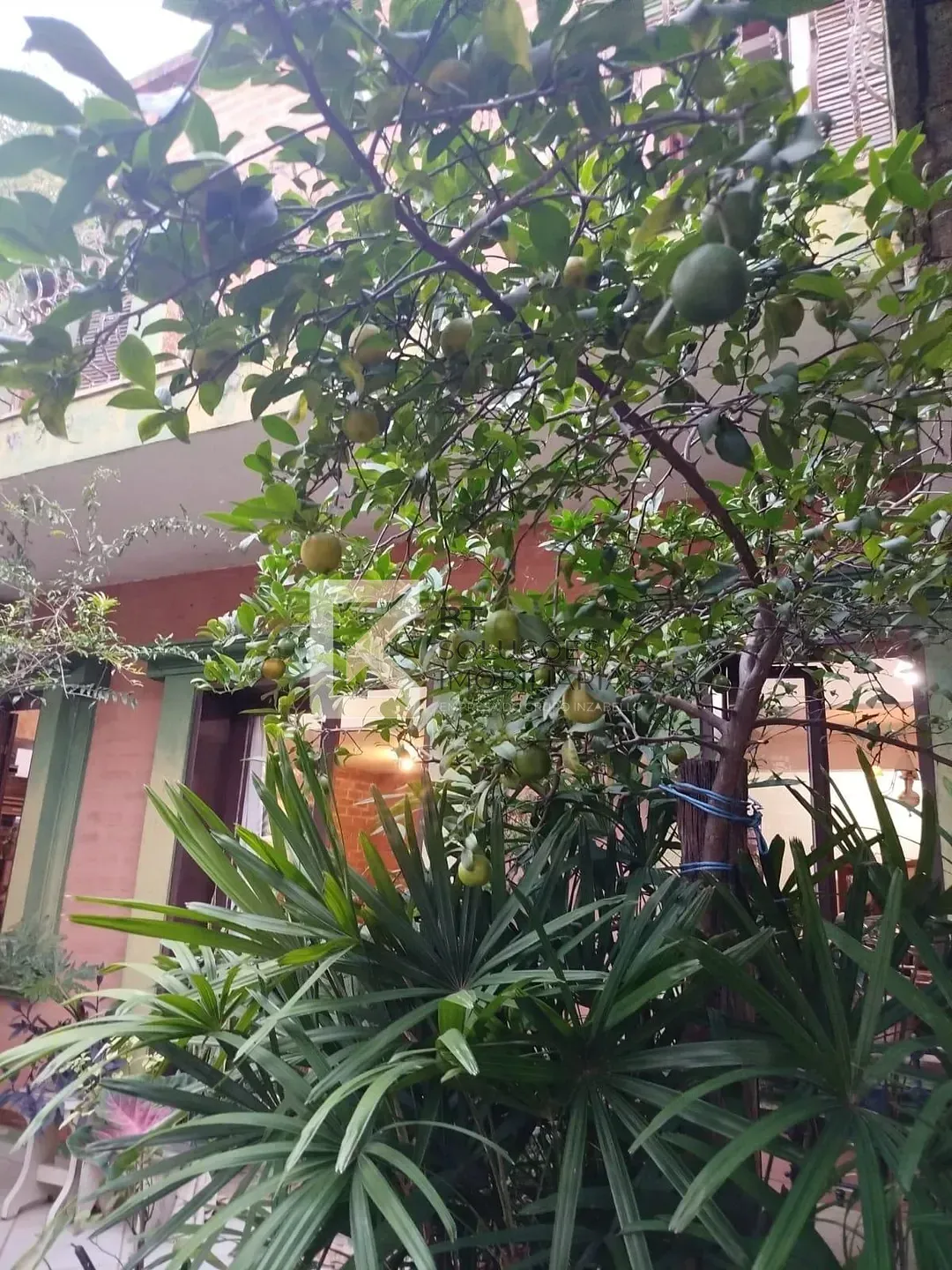 Sobrado, 4 quartos, 200 m² - Foto 12