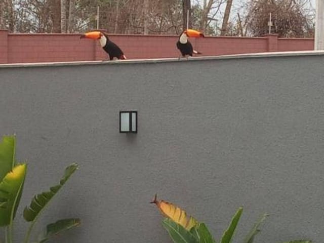 Foto do Sobrado - SOBRADO 03 SUÍTES - JARDINS CAPRI - COM PISCINA E CHURRASQUEIRA | Provenda Imobiliária