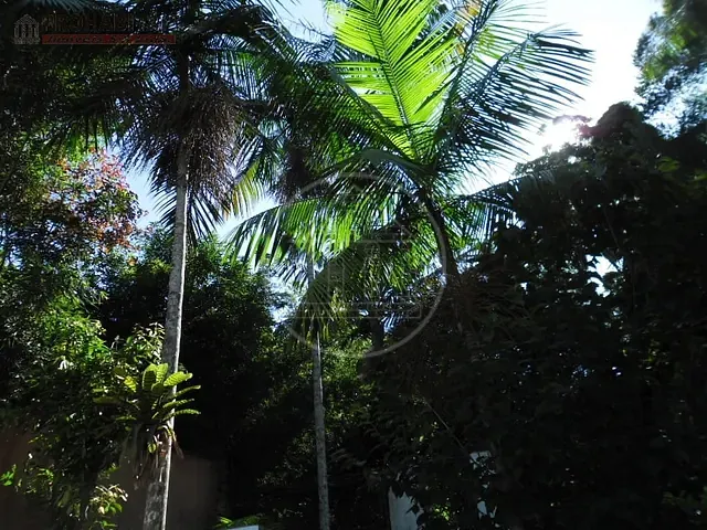 Sobrado com 500m² 3 quartos e 2 banheiros, à venda, no bairro Jardim Shangrilá (Zona Sul) em São Paulo